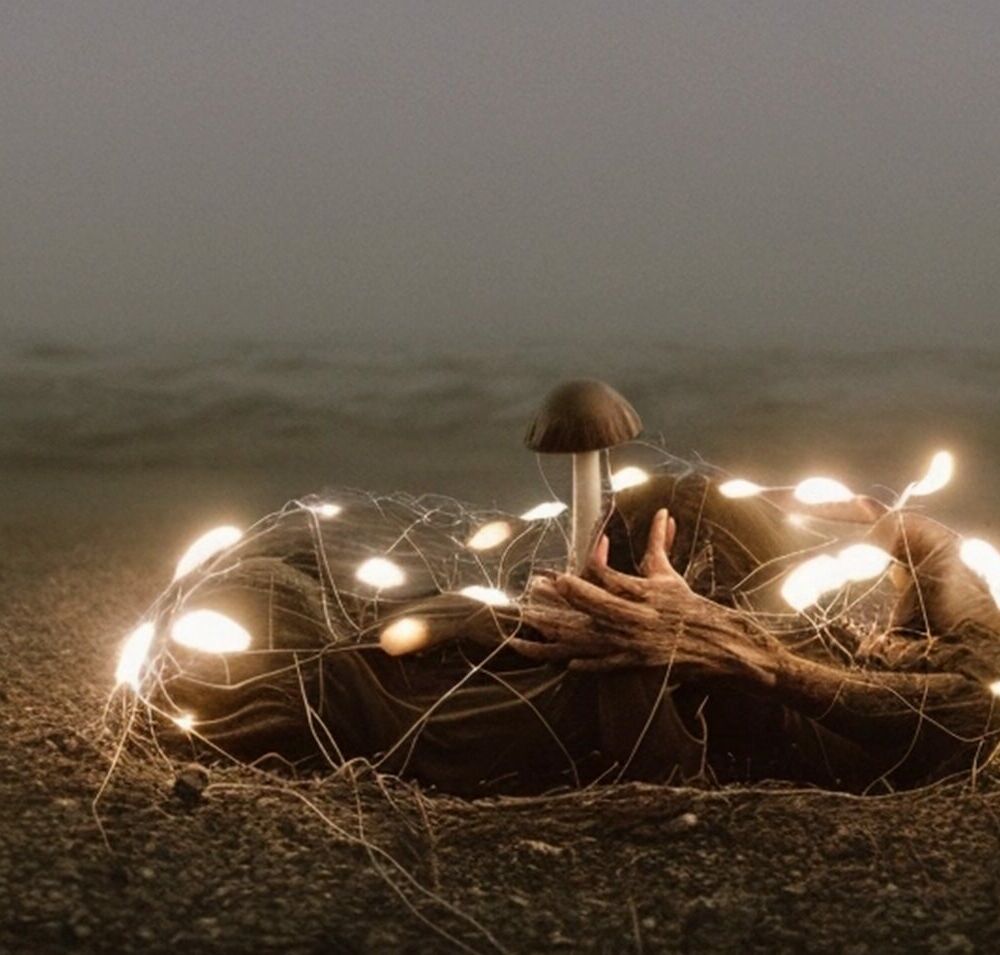 COCCIOLILLO_NETECOLOGY_INT
</p>
</div>


<footer>
    <div class=