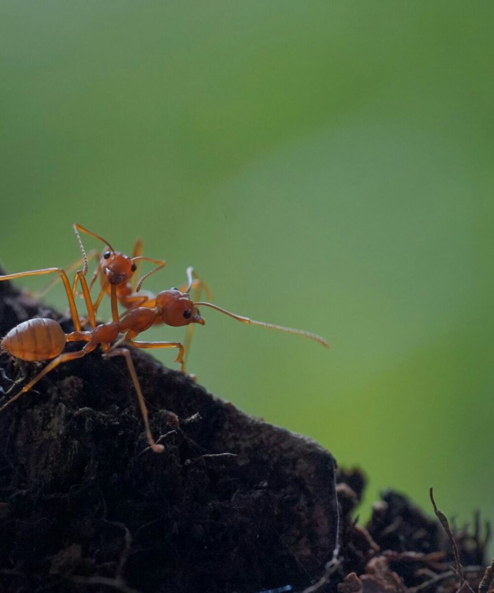 Foto di Farha Edenia su unsplash
