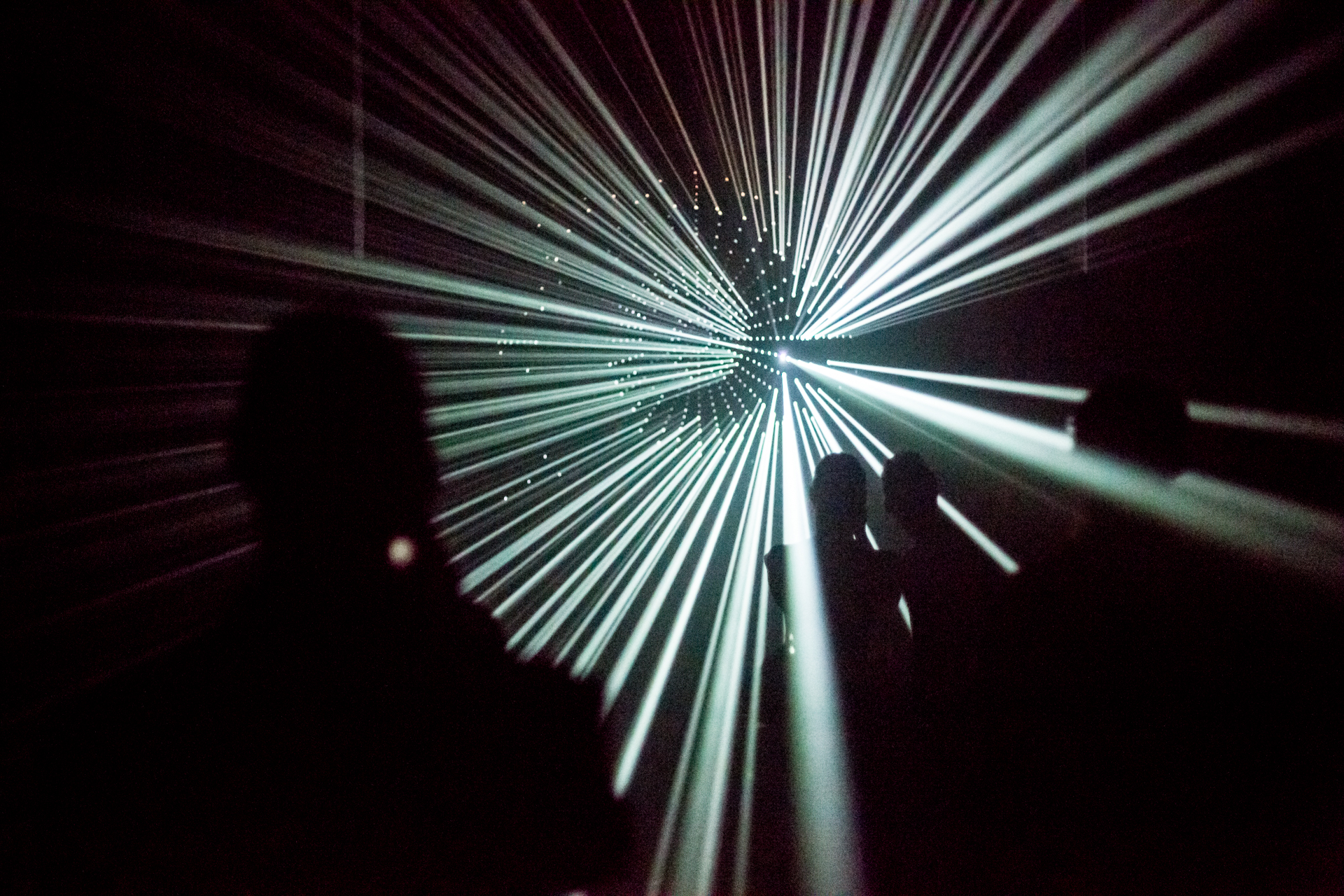 Pergola is ready to blossom again thanks to the Blooming Festival